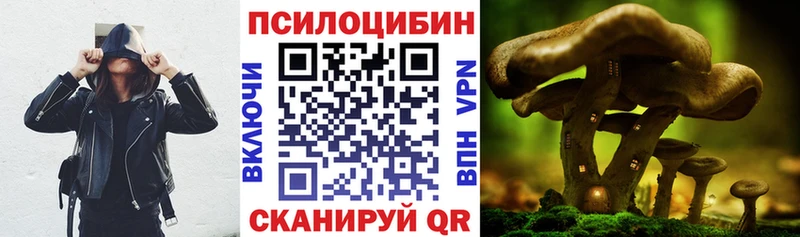 Галлюциногенные грибы Magic Shrooms  Поворино 